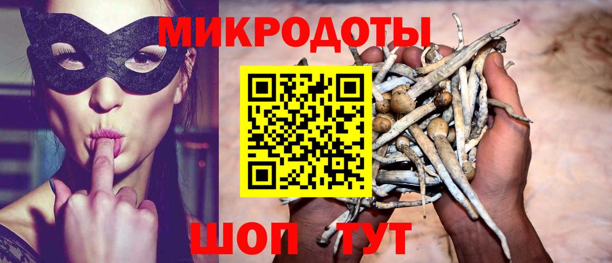 Псилоцибиновые грибы MAGIC MUSHROOMS  Вход с VPN  Алейск  Псилоцибиновые грибы Psilocybe 