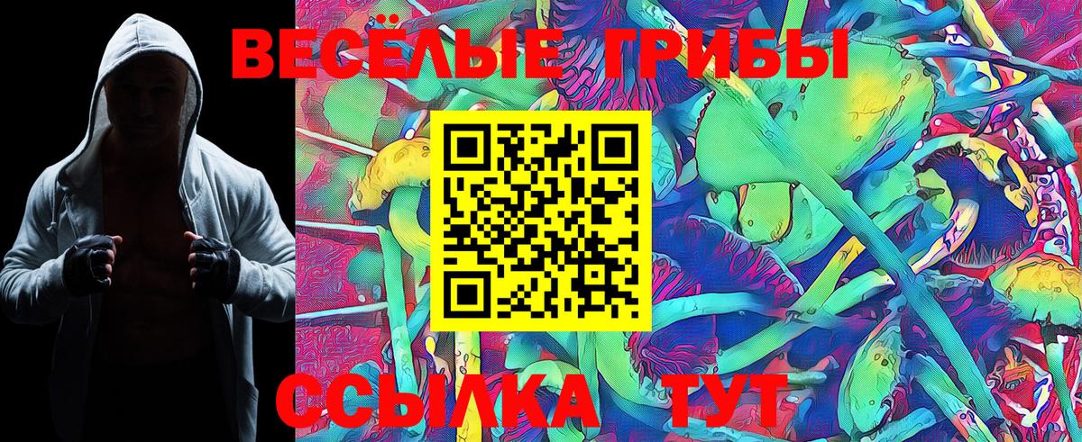 Псилоцибиновые грибы мухоморы Алейск