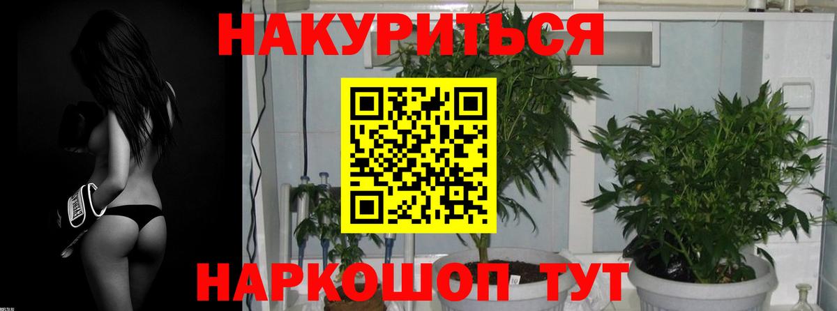 Канабис гибрид  Бошки Шишки семена  Вход с VPN  Алейск  Каннабис марихуана 